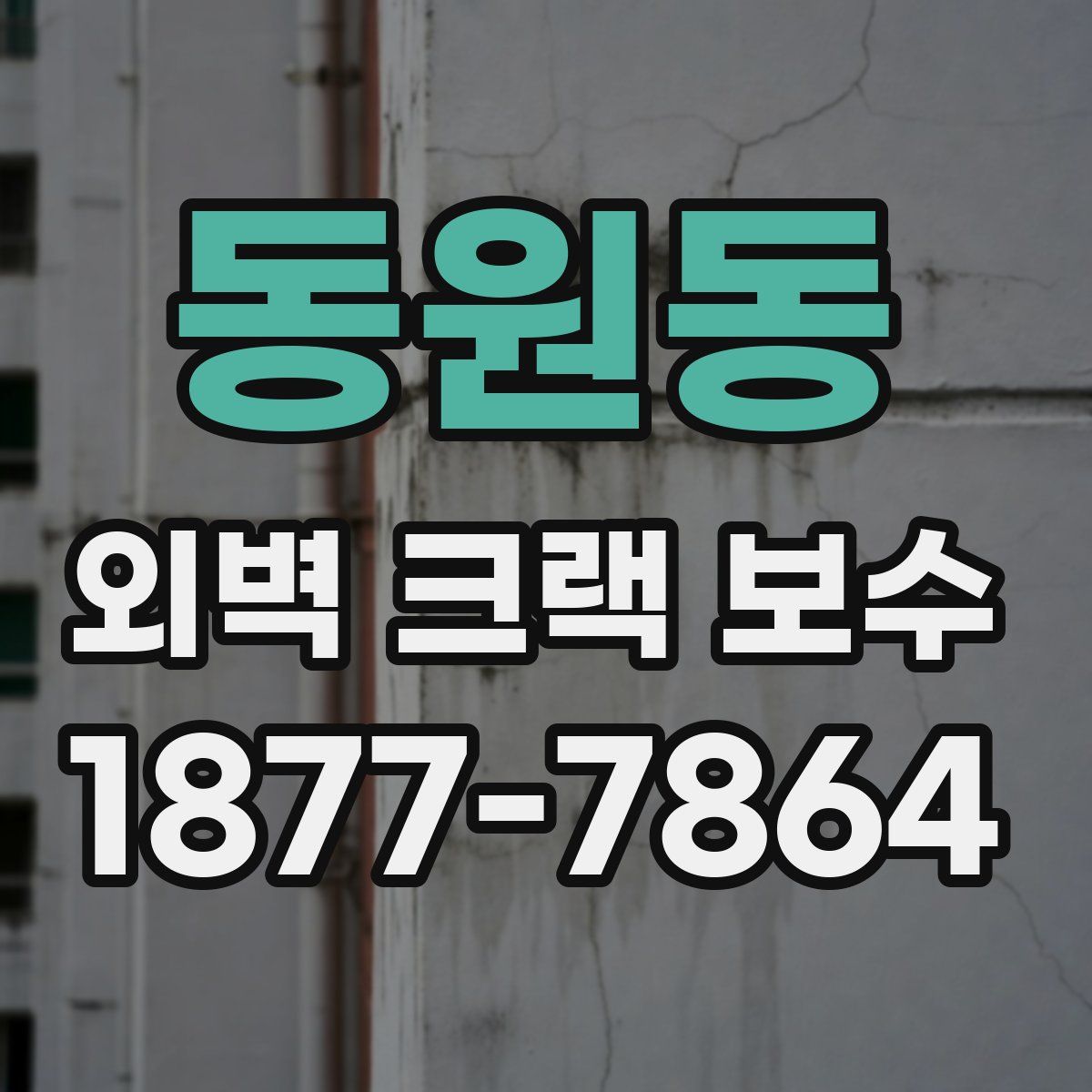 동원동 외벽 크랙 보수