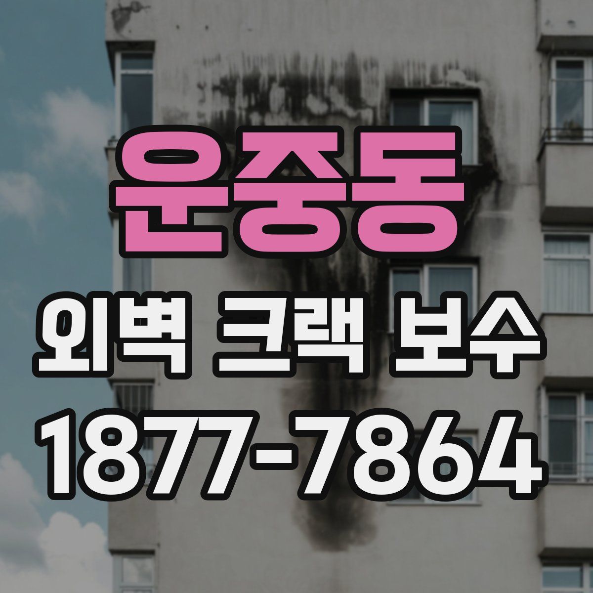 운중동 외벽 크랙 보수