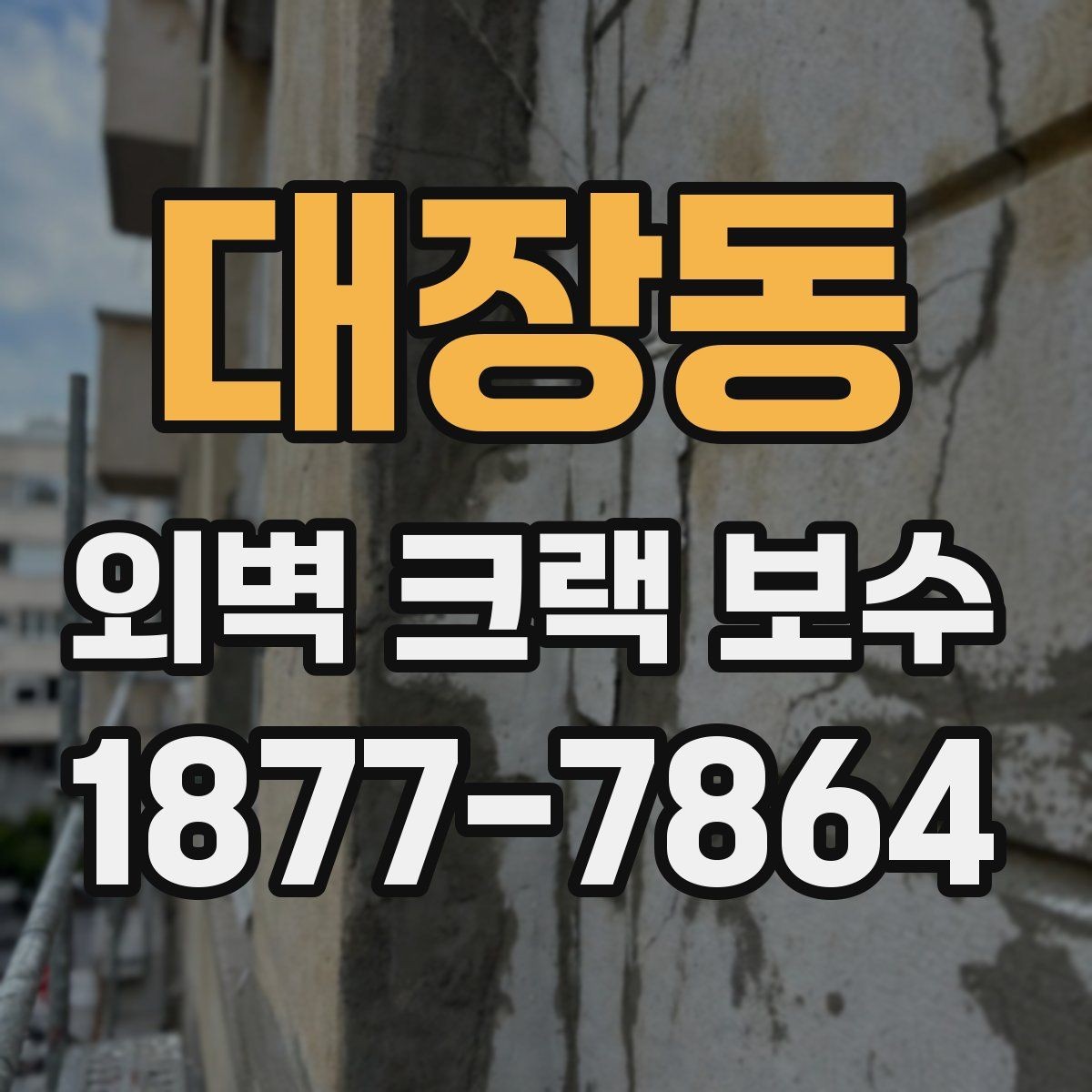 대장동 외벽 크랙 보수 공사 전후 사진으로 보는 변화