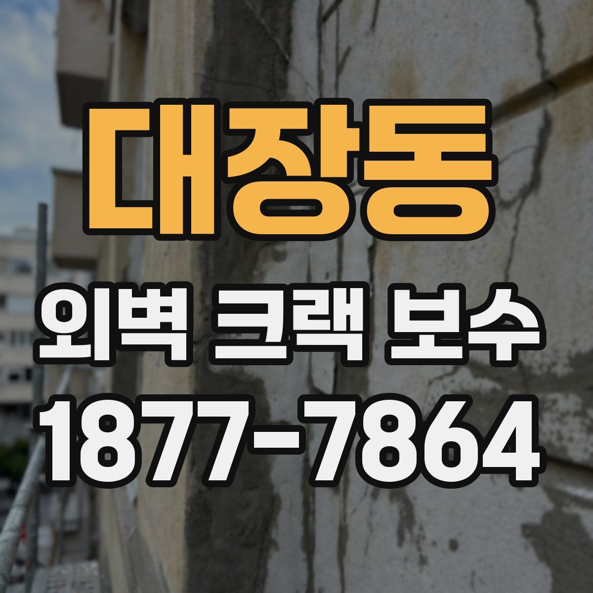 대장동 외벽 크랙 보수