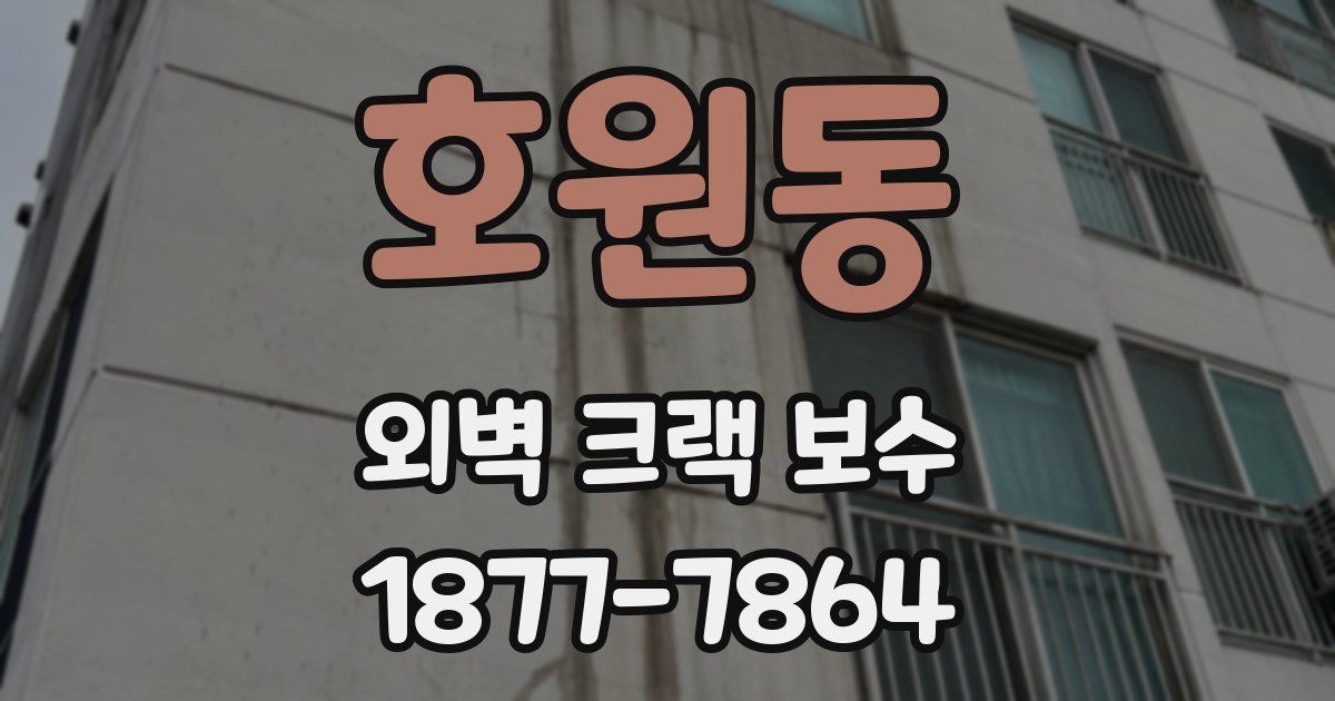 호원동 외벽 크랙 보수