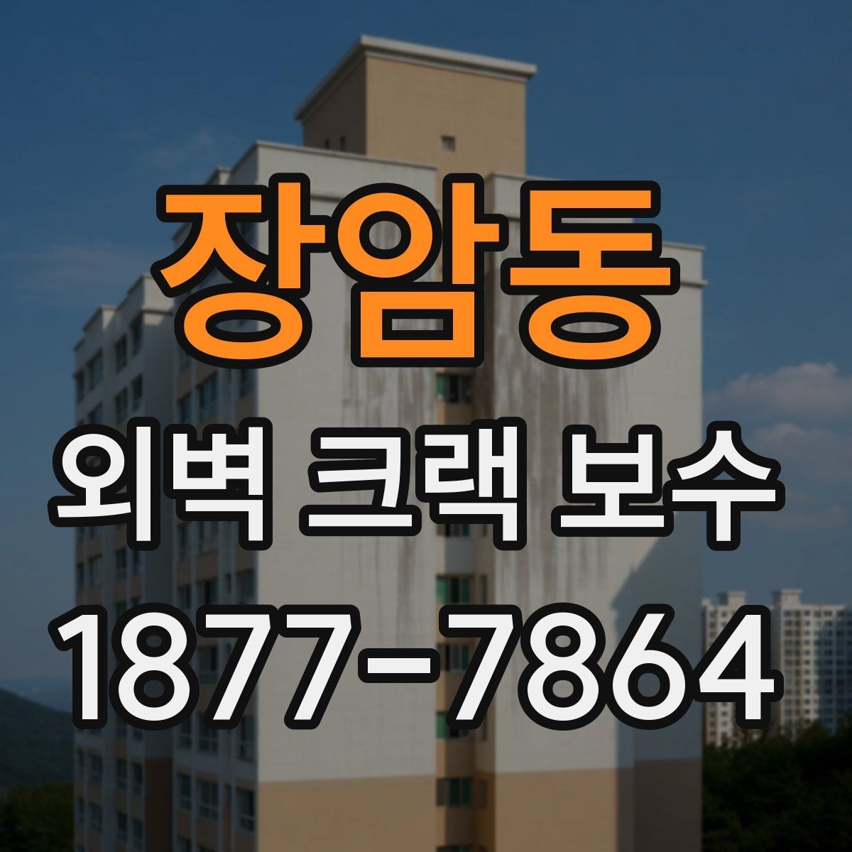 장암동 외벽 크랙 보수 사례로 보는 하자 예방 포인트