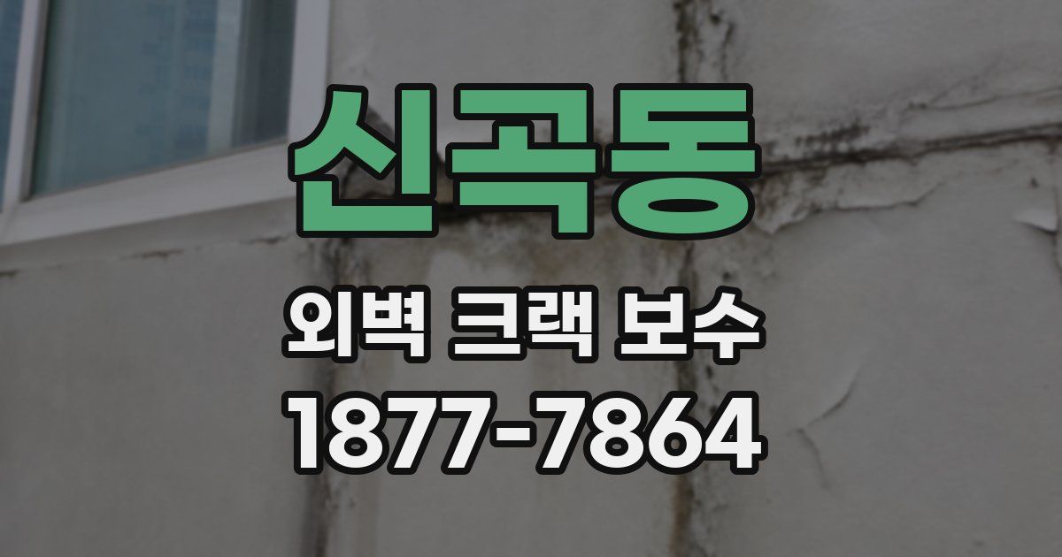 신곡동 외벽 크랙 보수