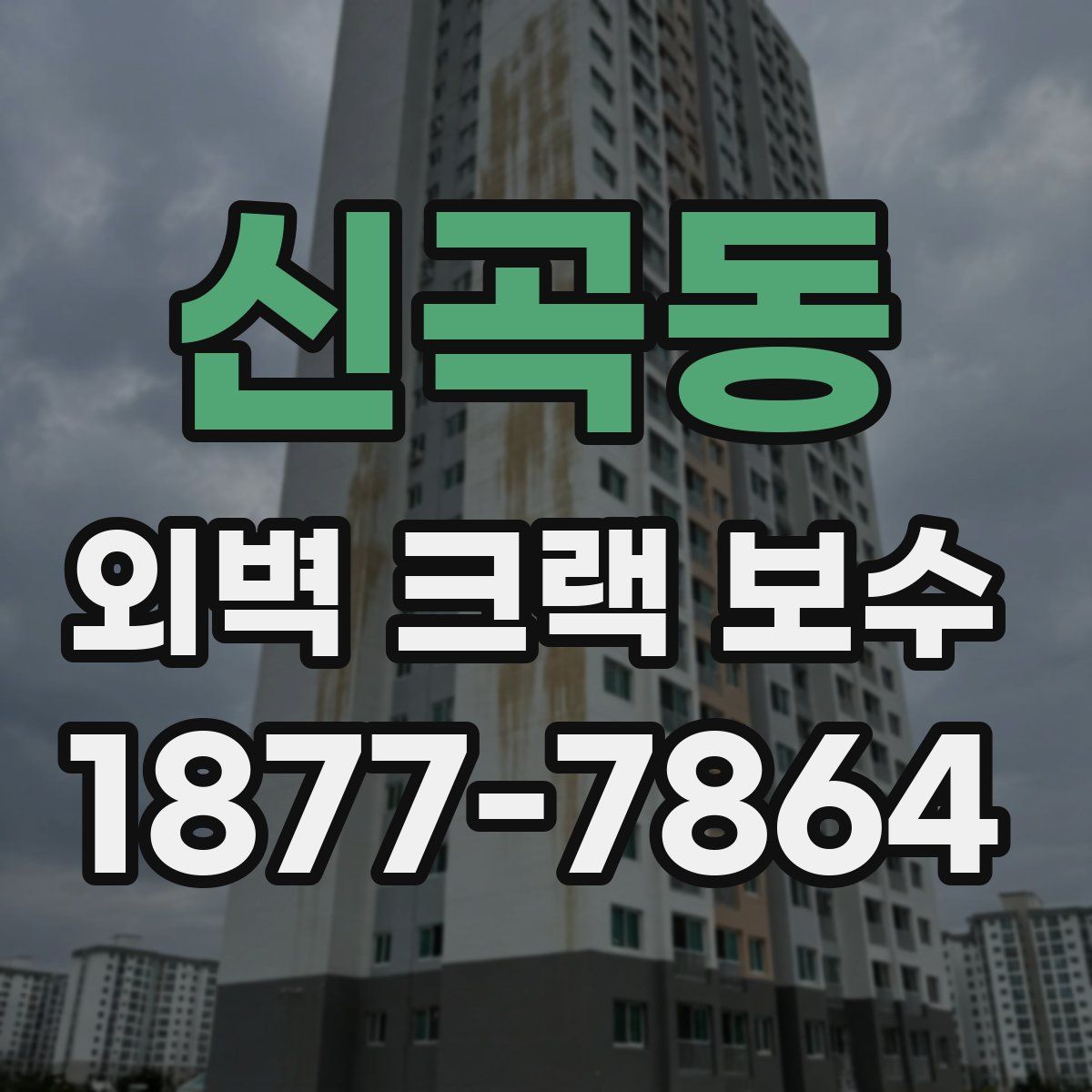 신곡동 외벽 크랙 보수