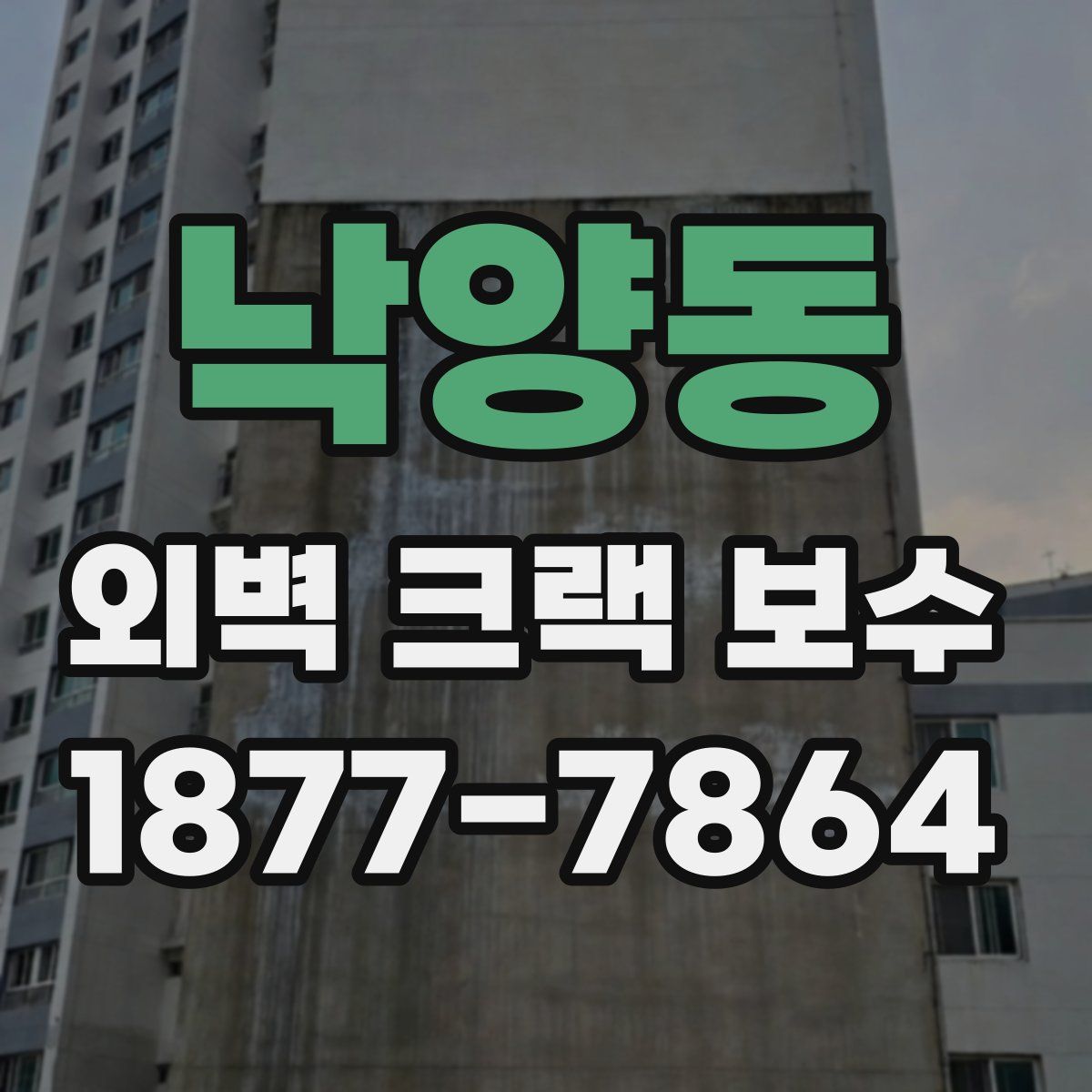 낙양동 외벽 크랙 보수