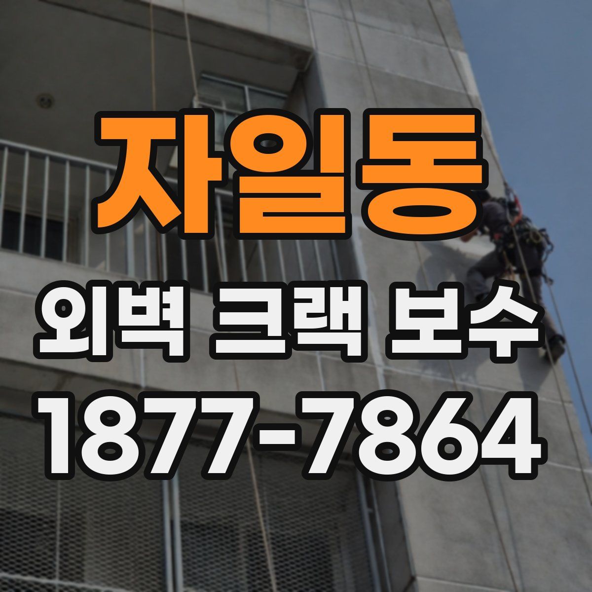 자일동 외벽 크랙 보수