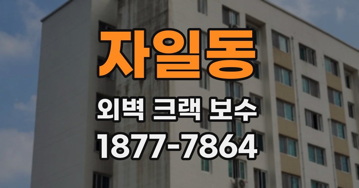 자일동 외벽 크랙 보수