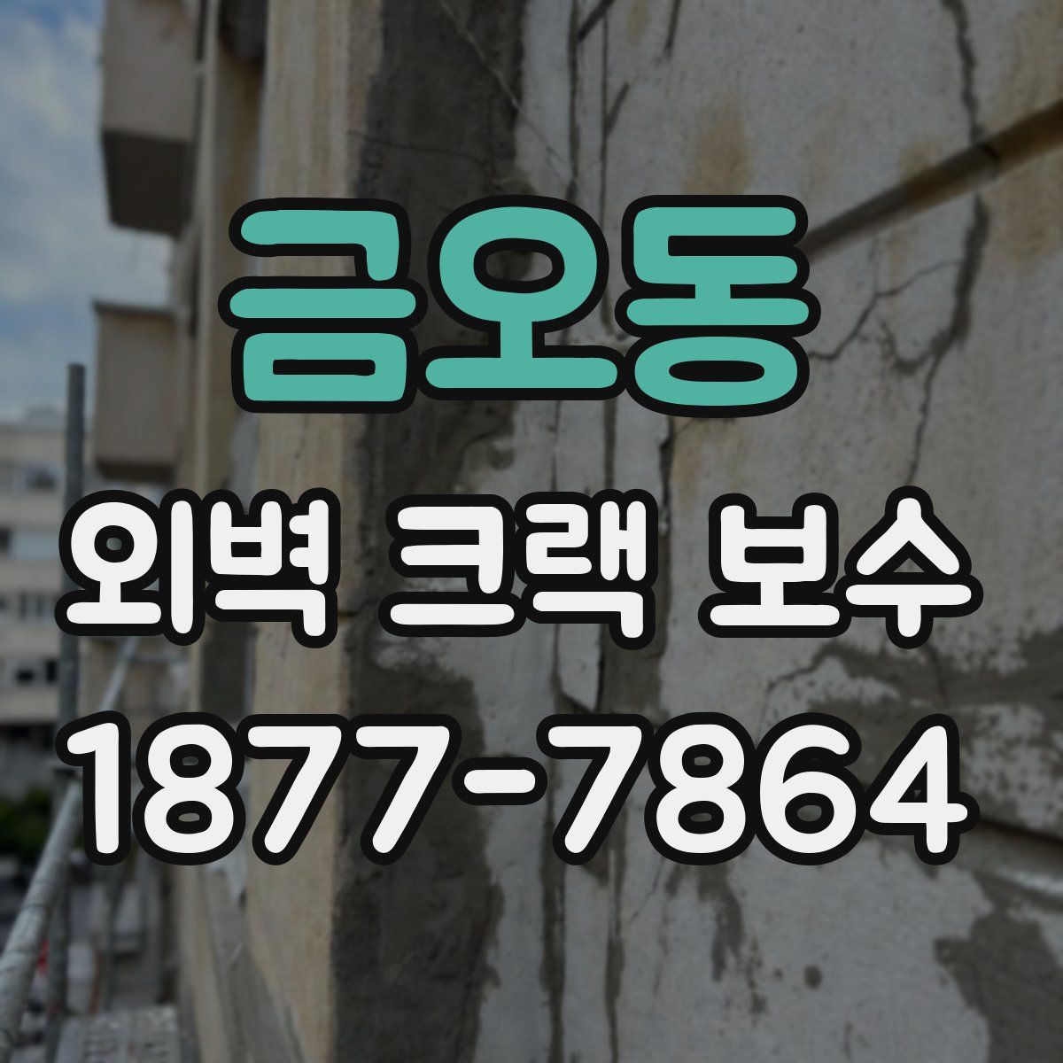 금오동 외벽 크랙 보수