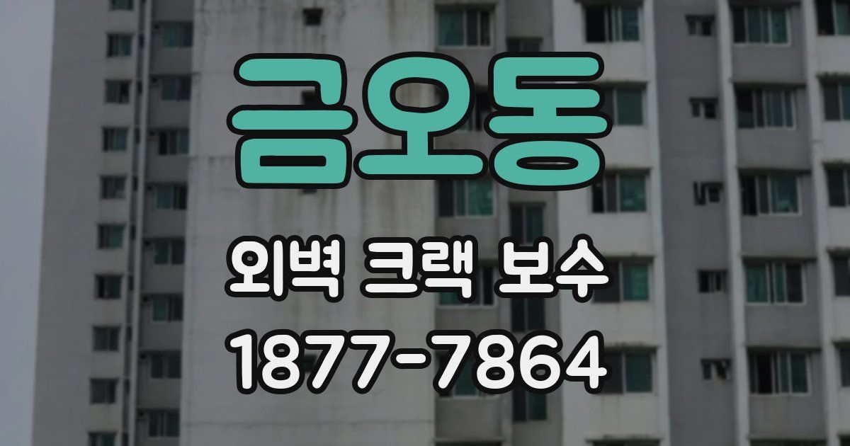 금오동 외벽 크랙 보수