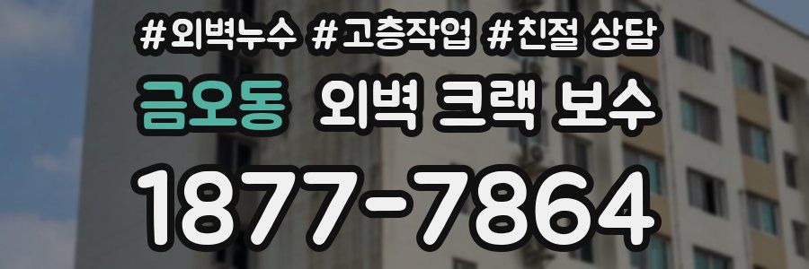 금오동 외벽 크랙 보수