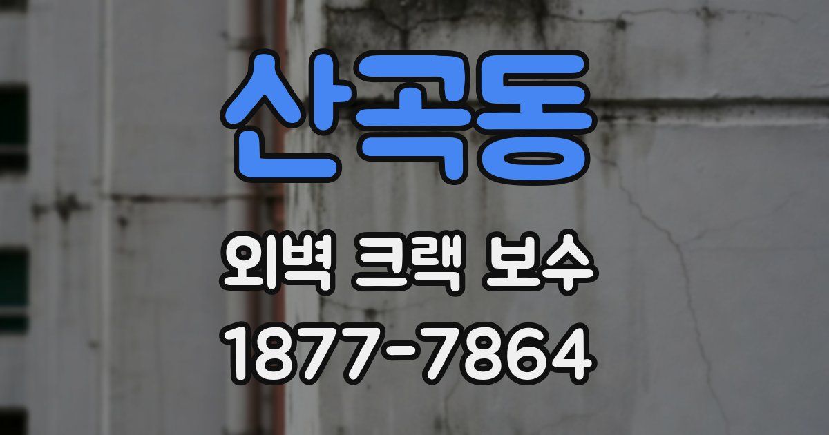 산곡동 외벽 크랙 보수