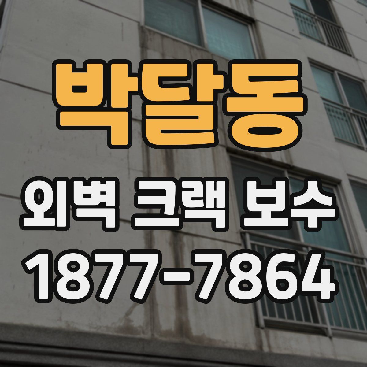 박달동 외벽 크랙 보수
