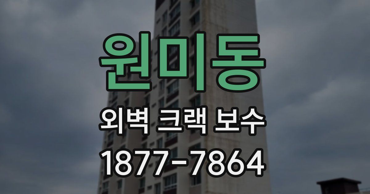 원미동 외벽 크랙 보수
