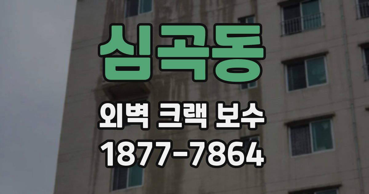 심곡동 외벽 크랙 보수