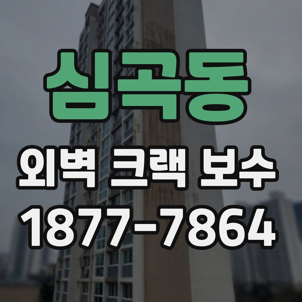 심곡동 외벽 크랙 보수