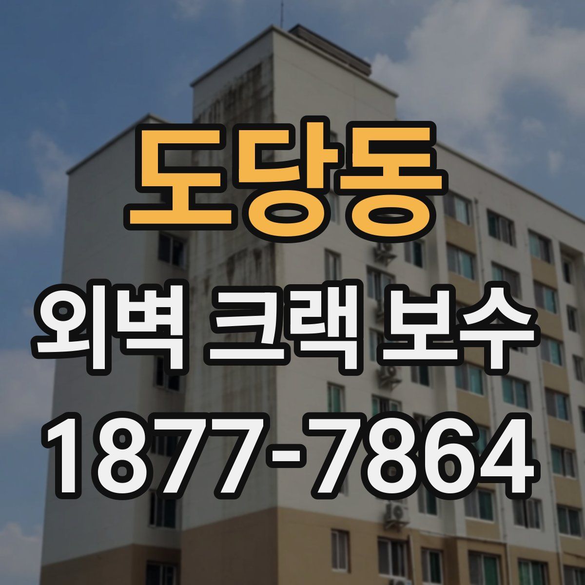 도당동 외벽 크랙 보수