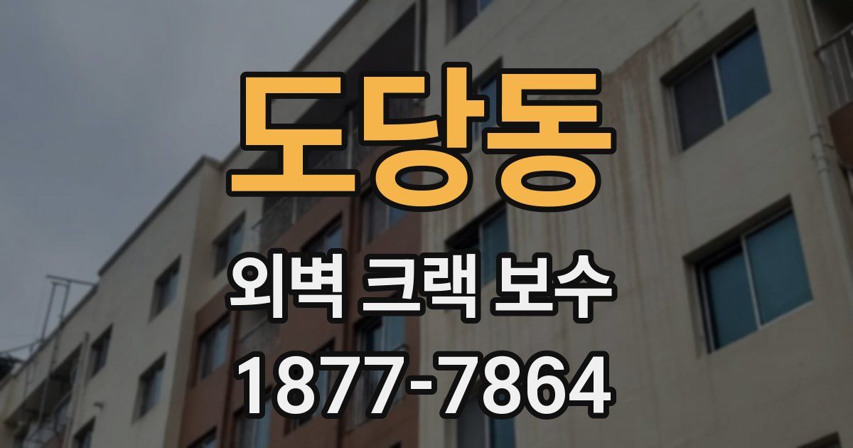 도당동 외벽 크랙 보수