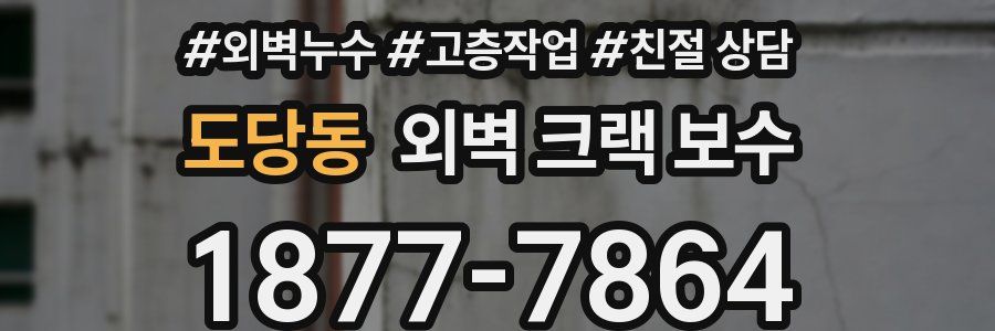 도당동 외벽 크랙 보수