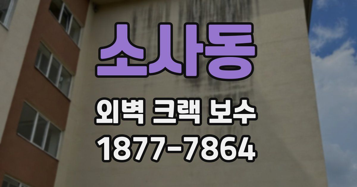소사동 외벽 크랙 보수
