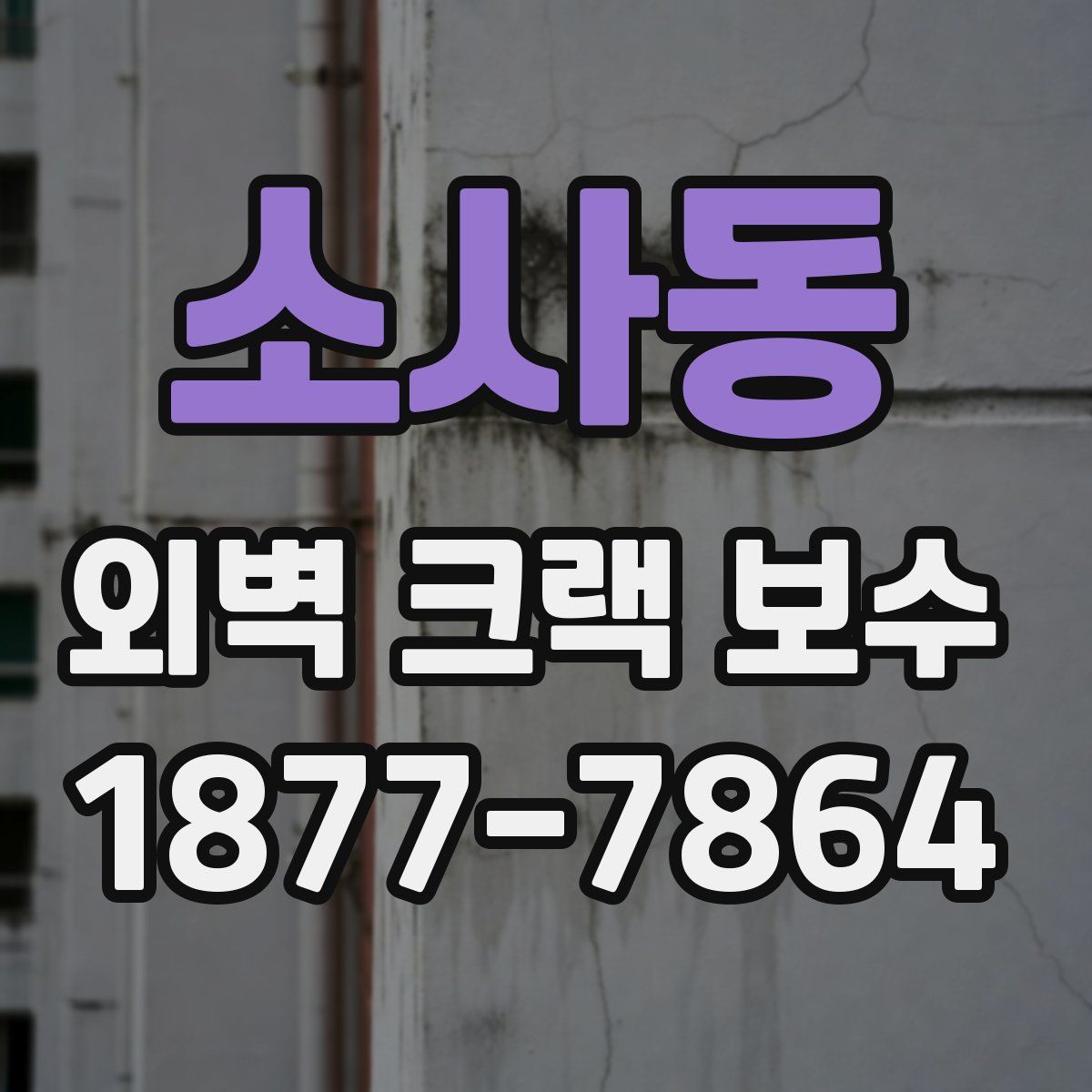 소사동 외벽 크랙 보수