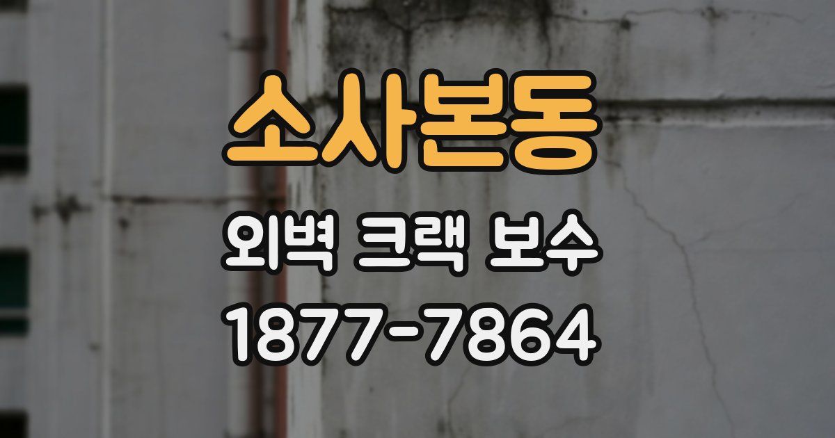 소사본동 외벽 크랙 보수
