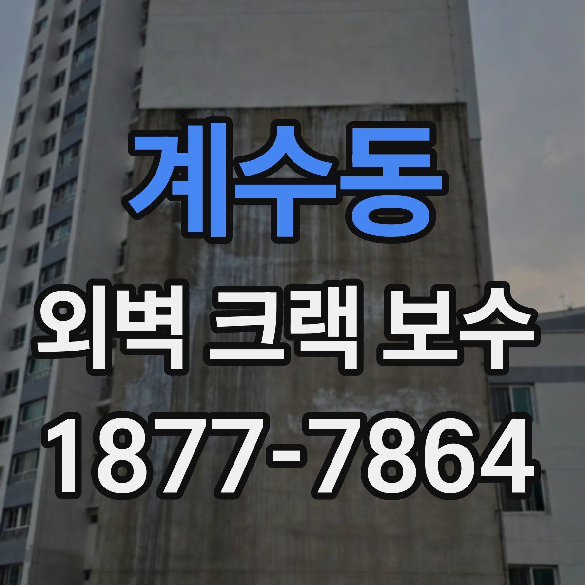 계수동 외벽 크랙 보수