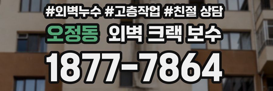 오정동 외벽 크랙 보수