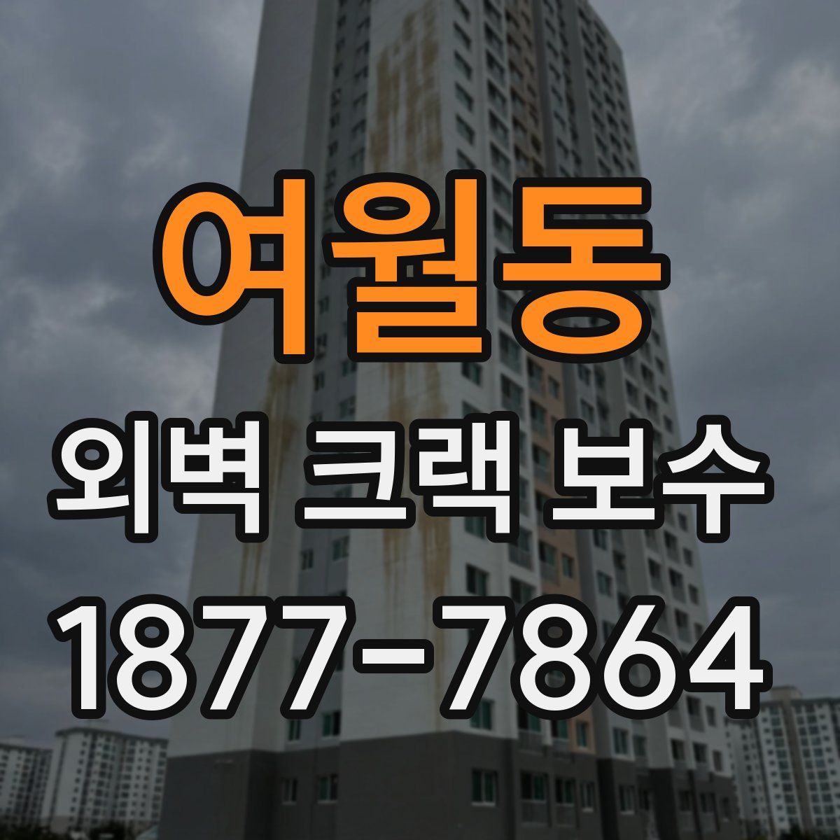여월동 외벽 크랙 보수