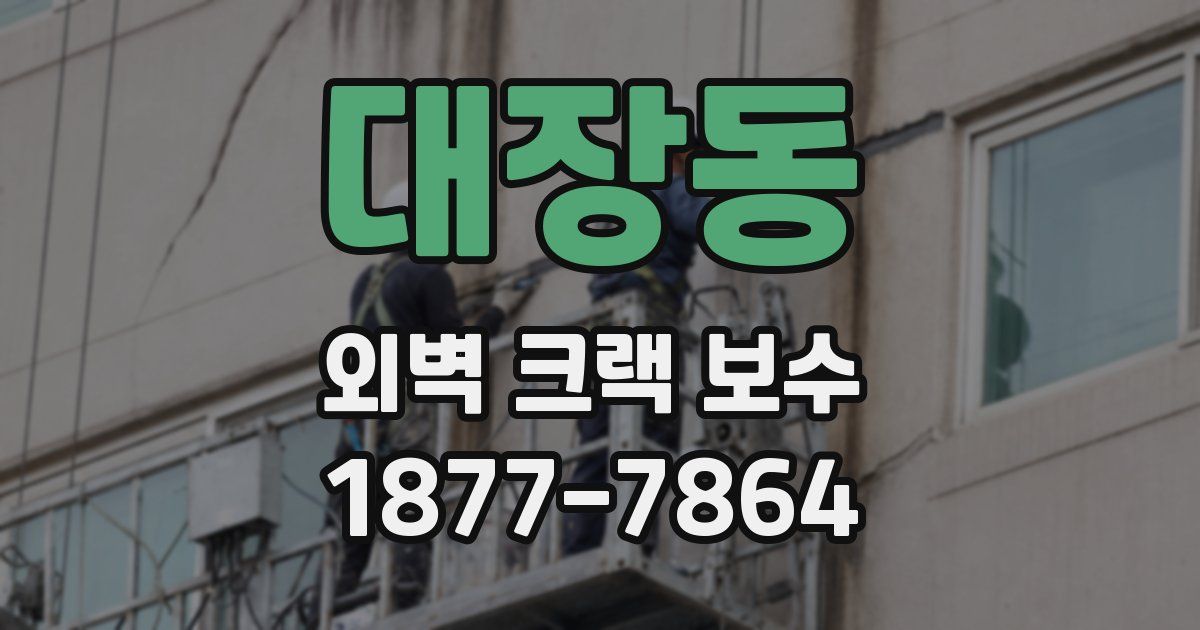 대장동 외벽 크랙 보수