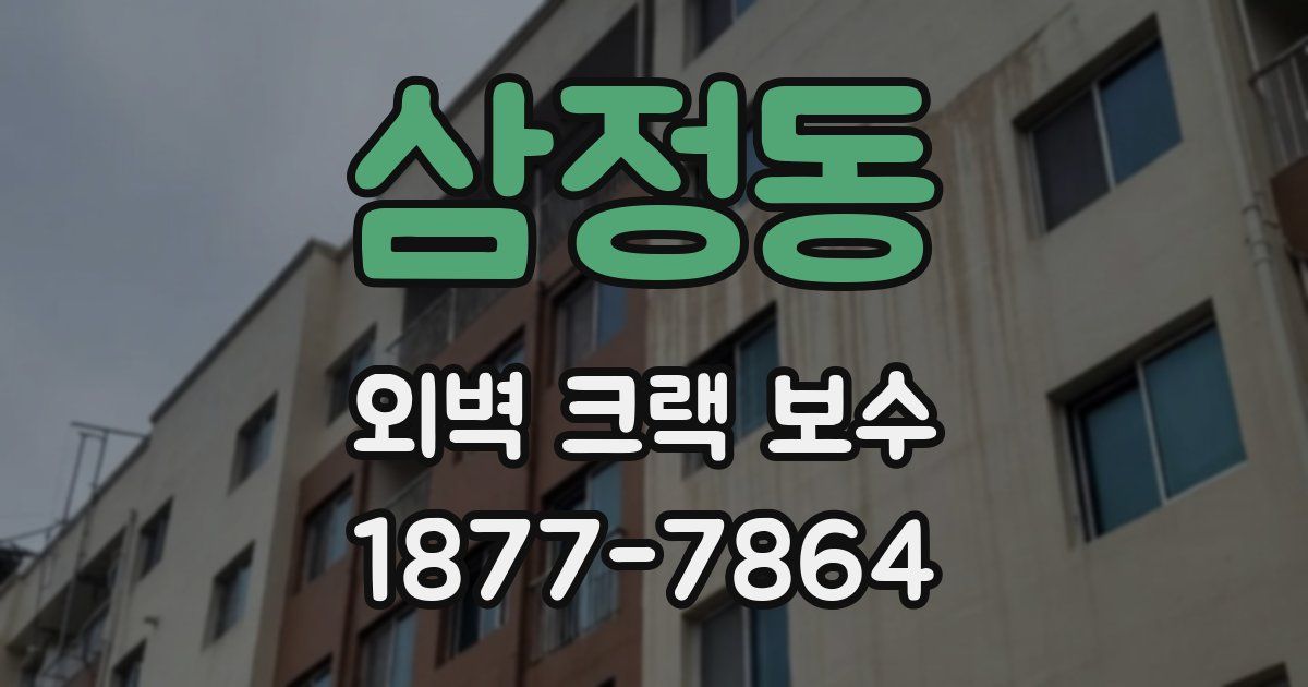 삼정동 외벽 크랙 보수