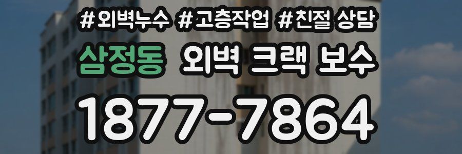 삼정동 외벽 크랙 보수