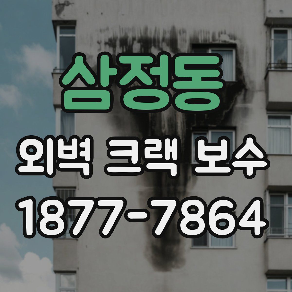 삼정동 외벽 크랙 보수