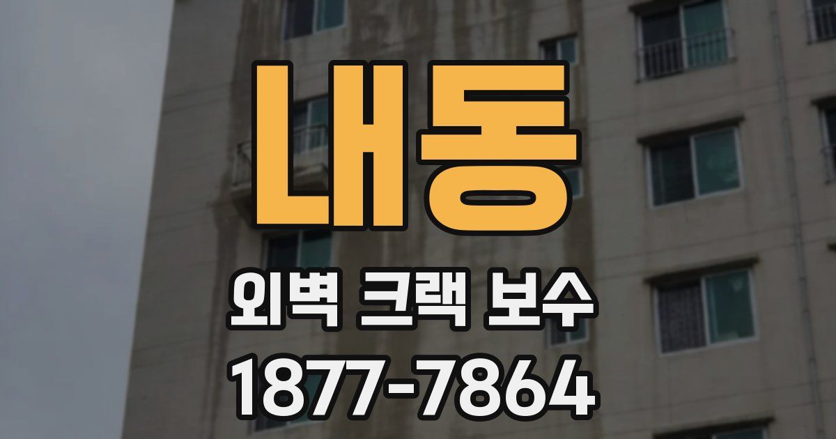 내동 외벽 크랙 보수