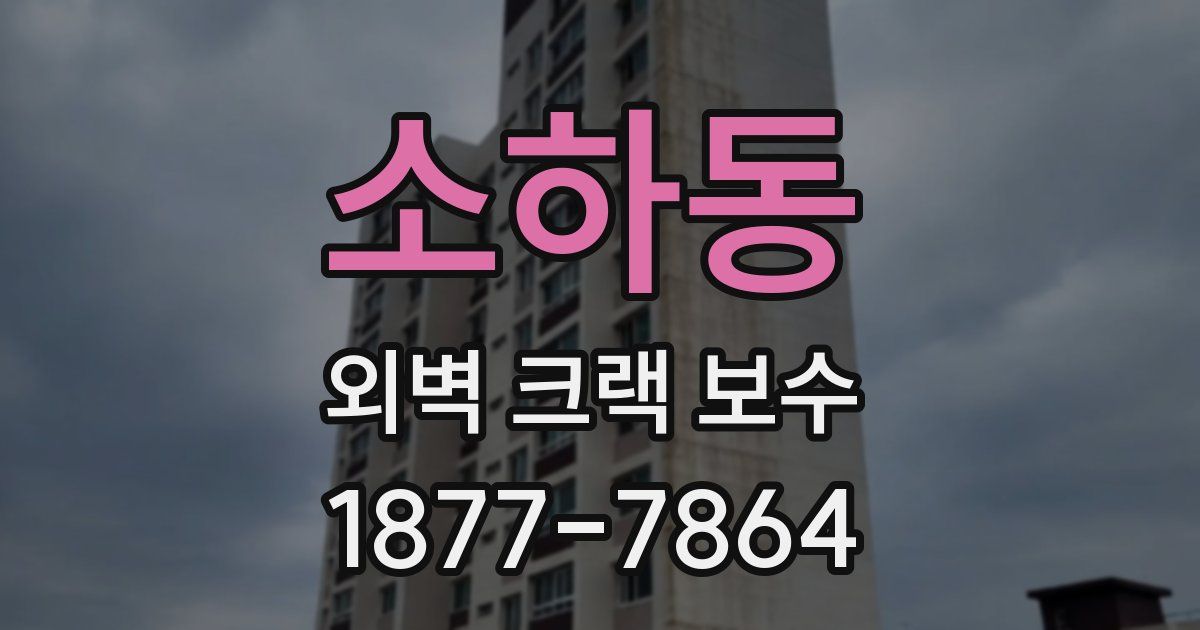 소하동 외벽 크랙 보수
