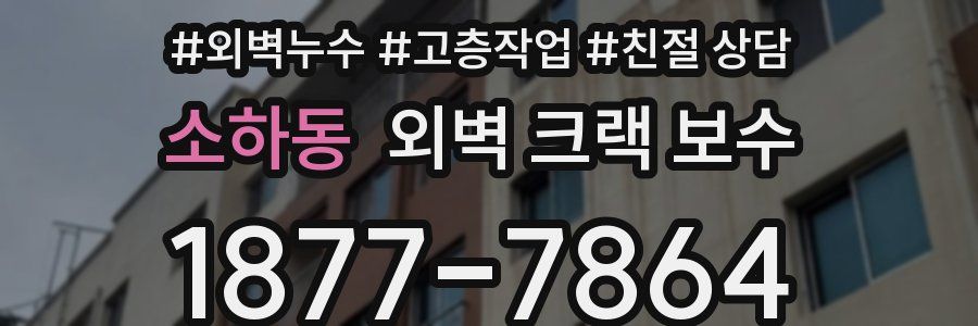 소하동 외벽 크랙 보수