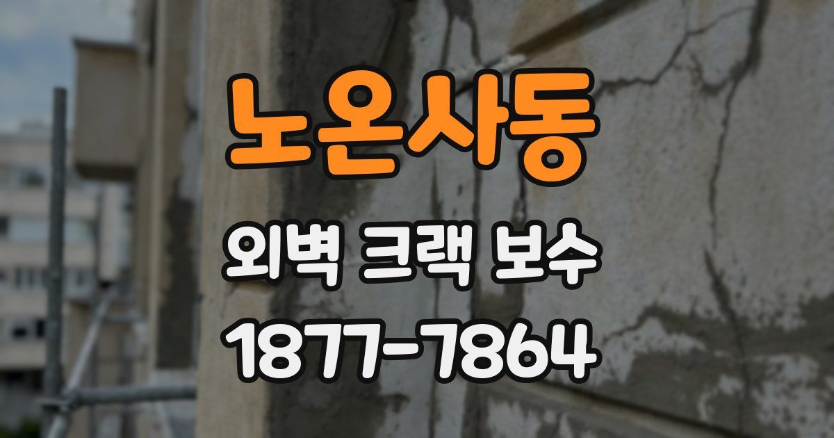 노온사동 외벽 크랙 보수
