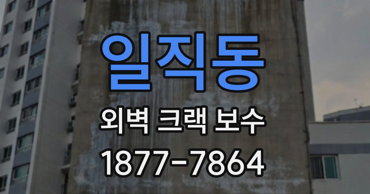 일직동 외벽 크랙 보수