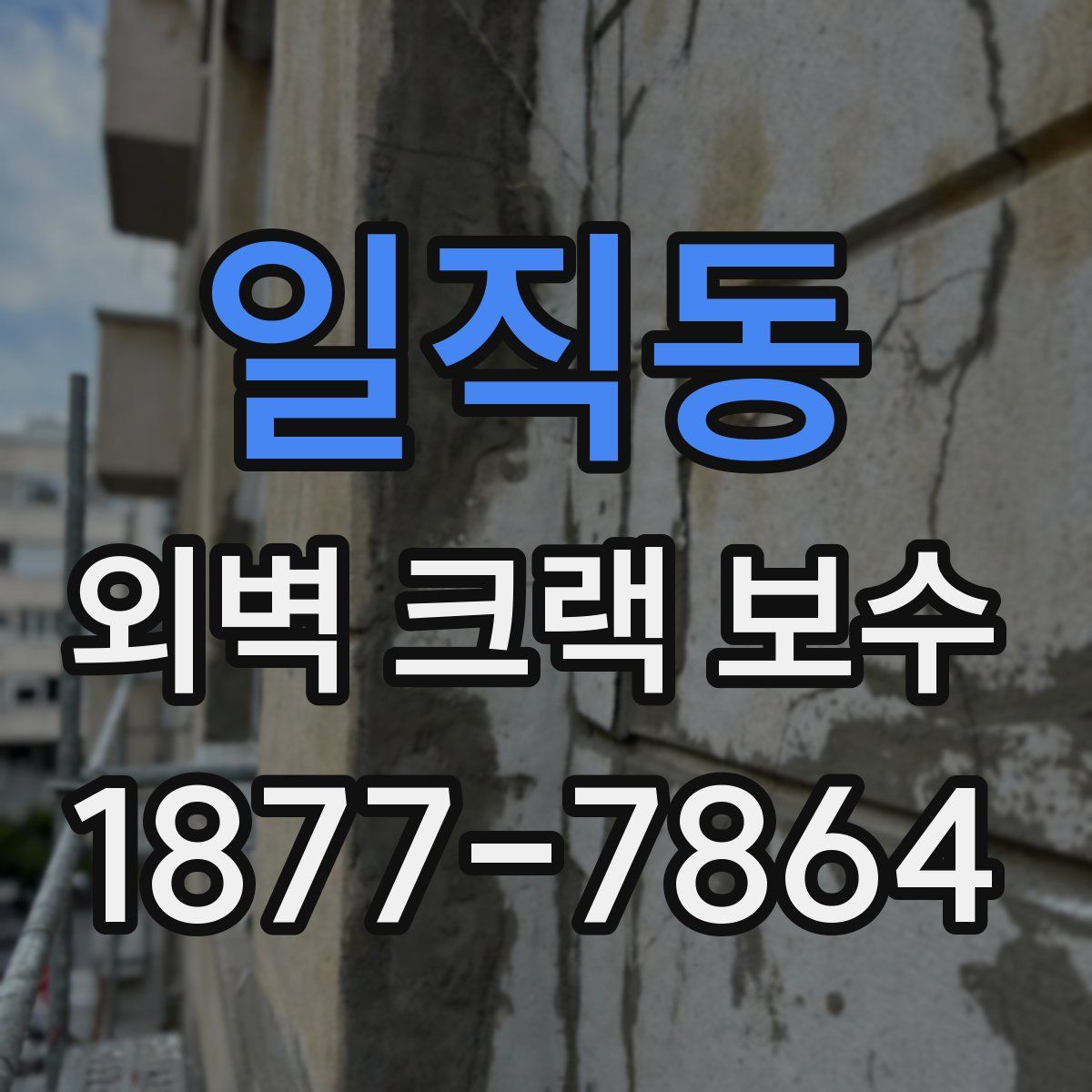 일직동 외벽 크랙 보수