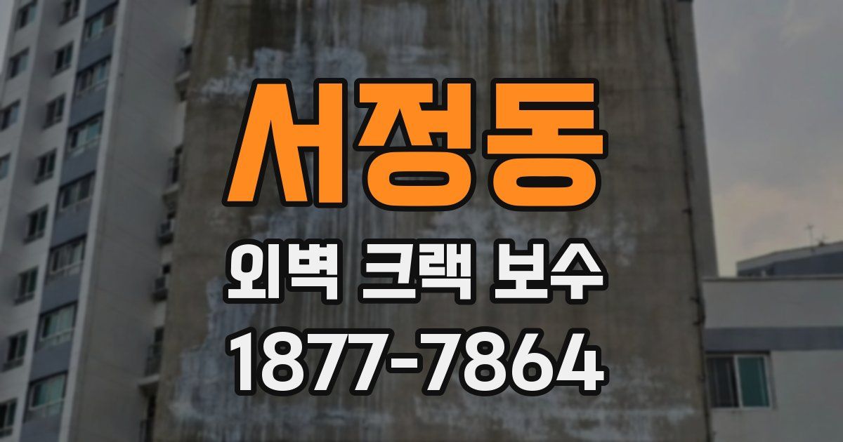 서정동 외벽 크랙 보수