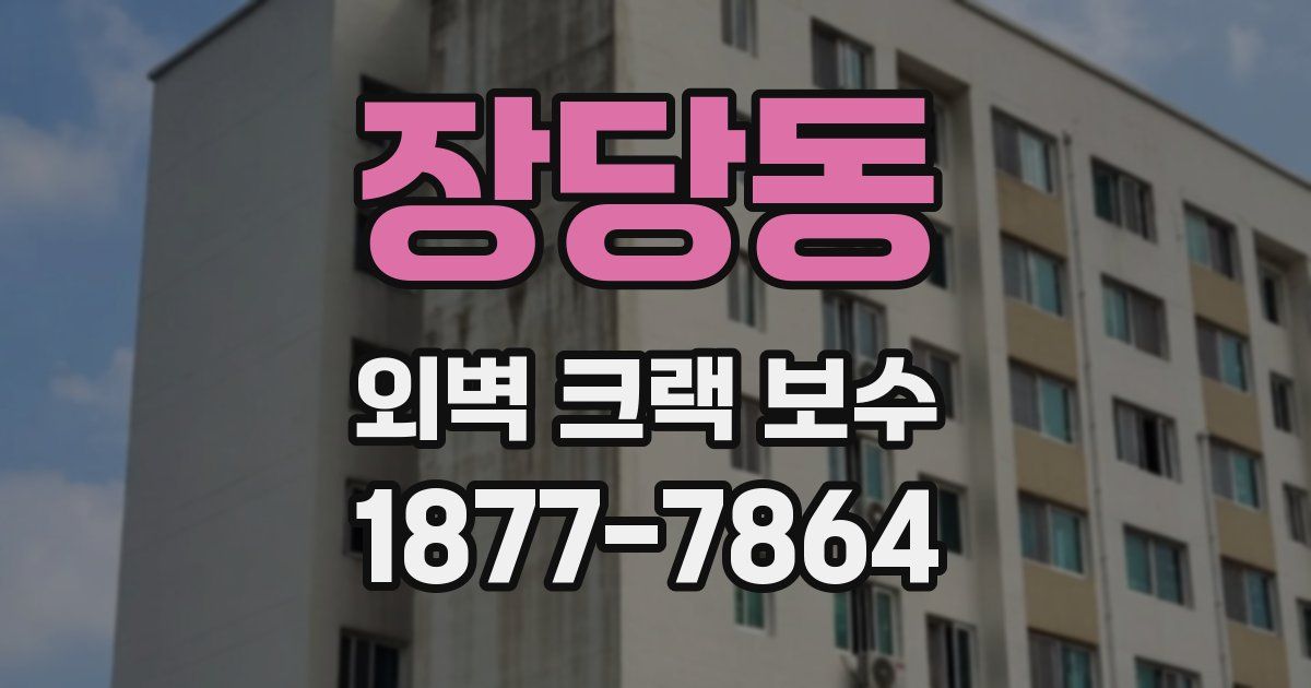 장당동 외벽 크랙 보수