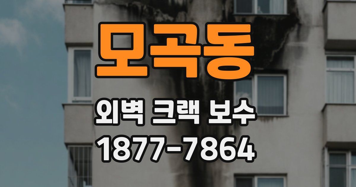 모곡동 외벽 크랙 보수
