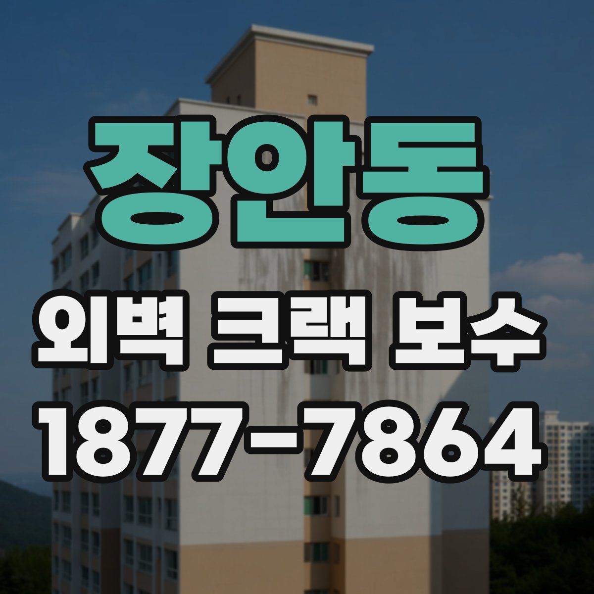장안동 외벽 크랙 보수