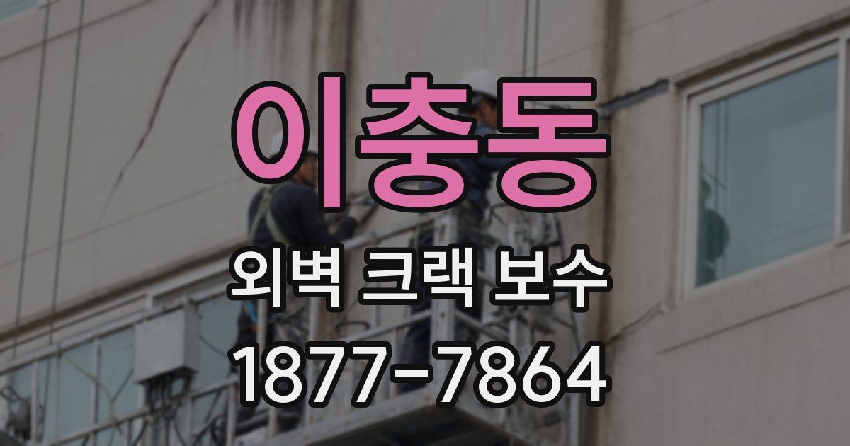 이충동 외벽 크랙 보수