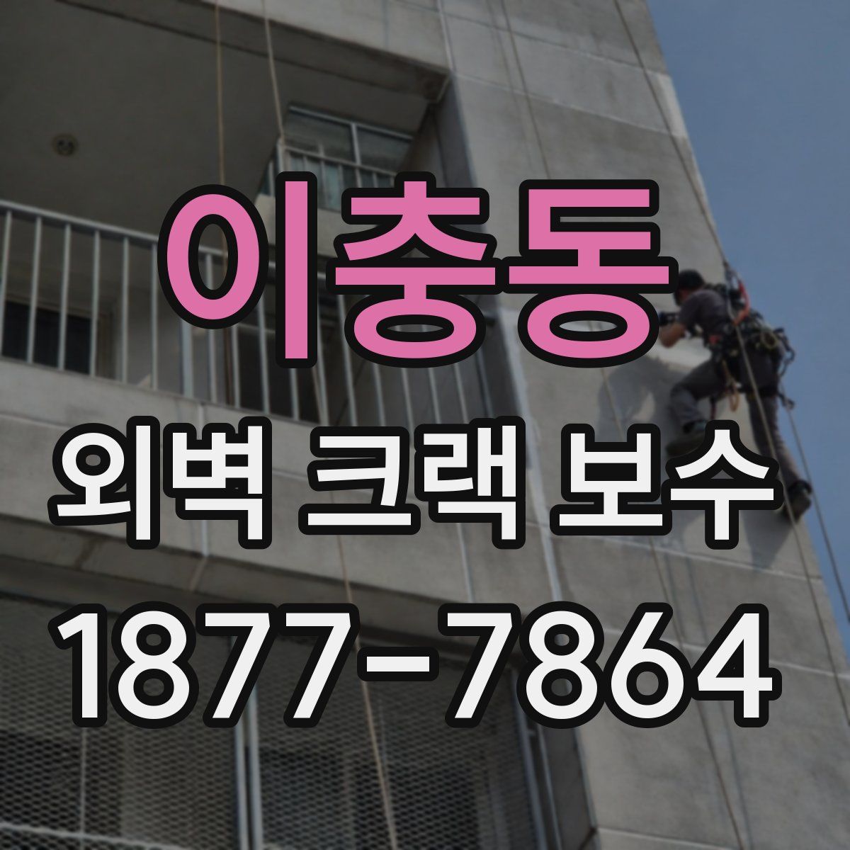이충동 외벽 크랙 보수