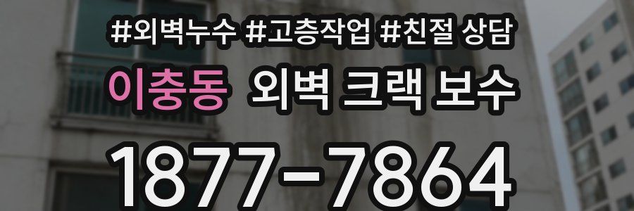 이충동 외벽 크랙 보수