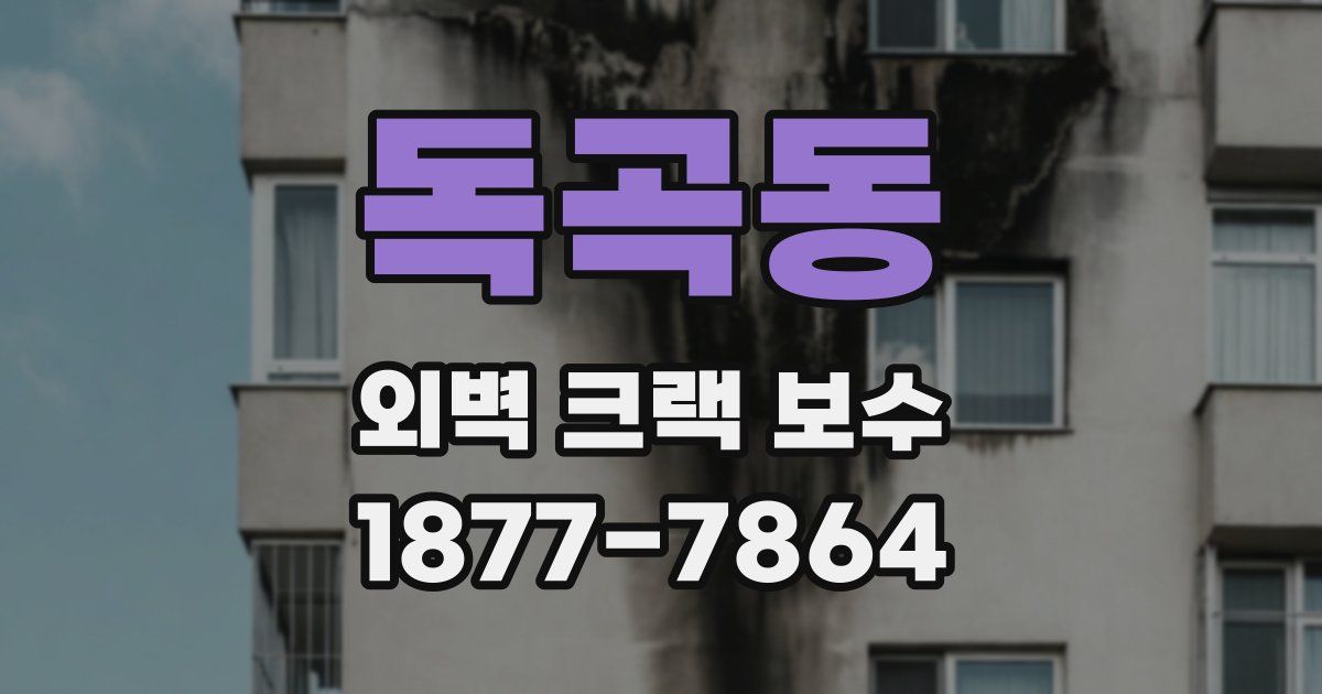 독곡동 외벽 크랙 보수