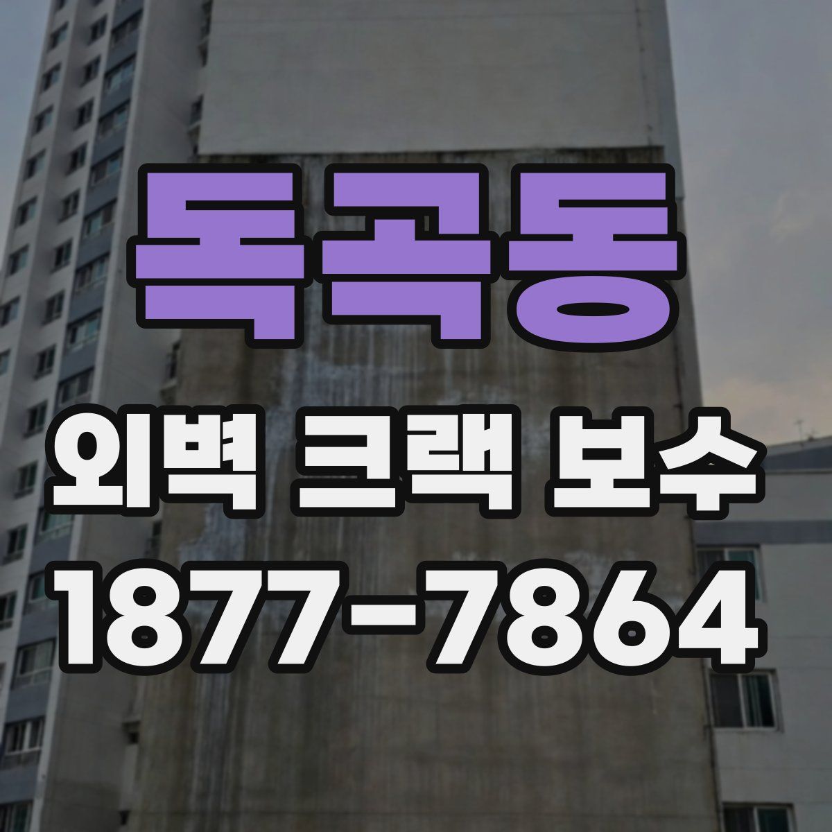 독곡동 외벽 크랙 보수
