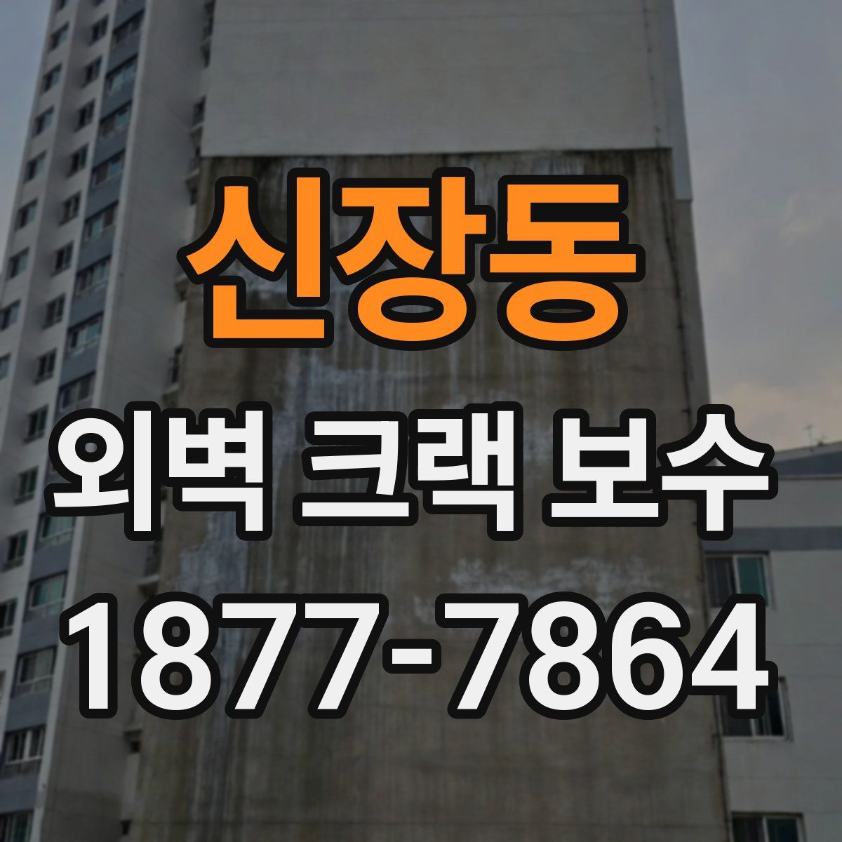 신장동 외벽 크랙 보수
