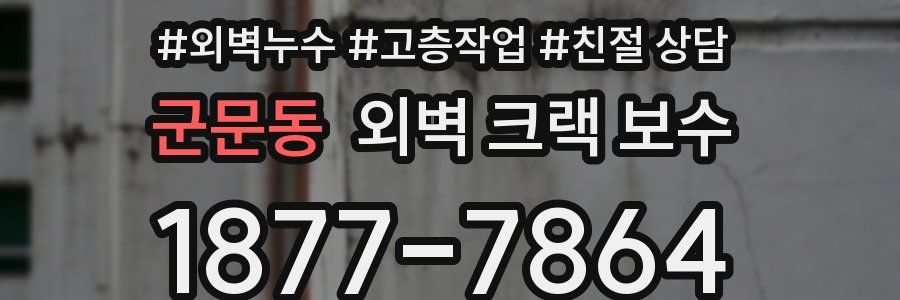 군문동 외벽 크랙 보수