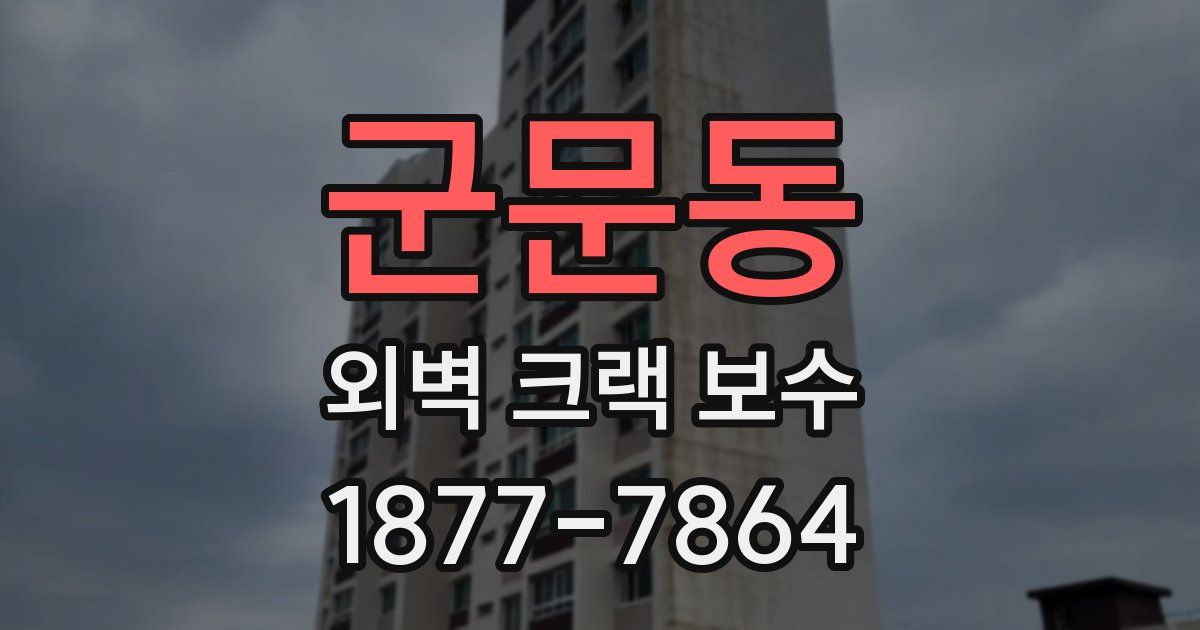 군문동 외벽 크랙 보수